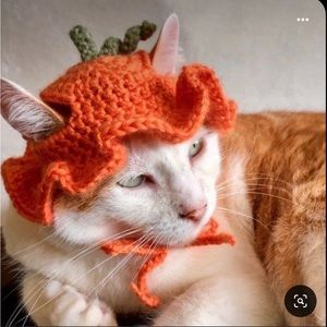 New Pumpkin crochet hat for cat